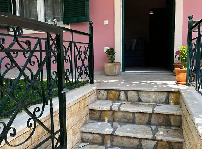 Anna's * نِكيانا